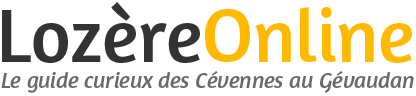 Lozère Online logo
