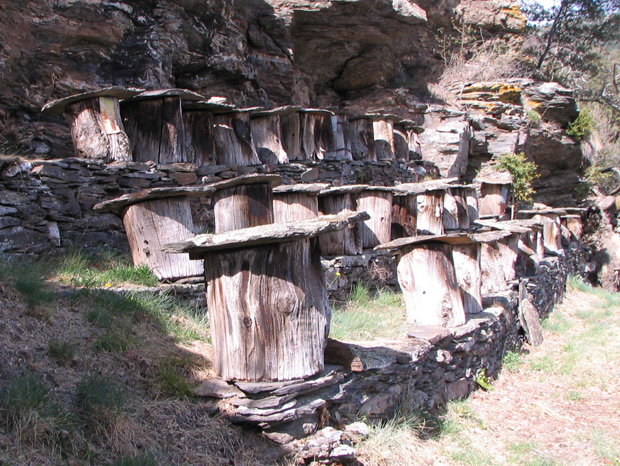 Ruche ancienne