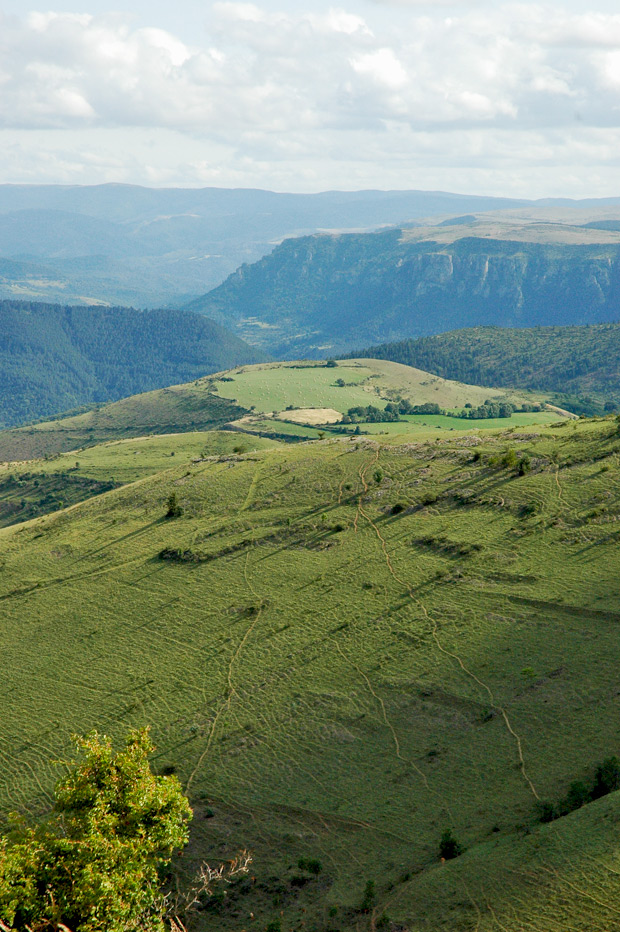 La Cham de Colas