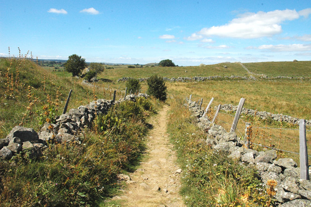 Draille sur l'Aubrac