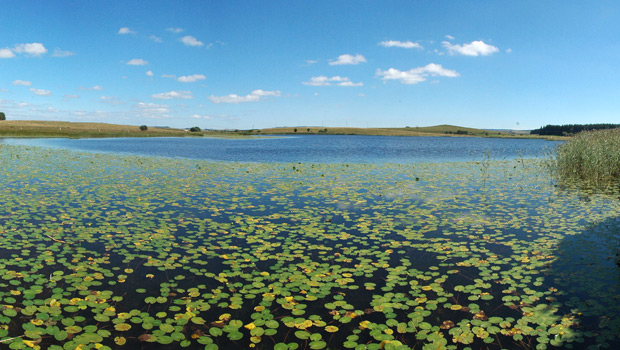 Lac des Salhiens