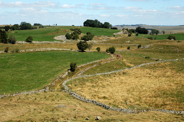 Paysage sur l'Aubrac